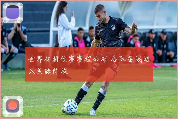 世界杯排位赛赛程公布 各队备战进入关键阶段
