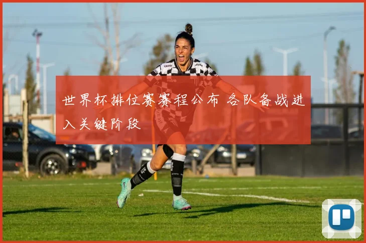 世界杯排位赛赛程公布 各队备战进入关键阶段