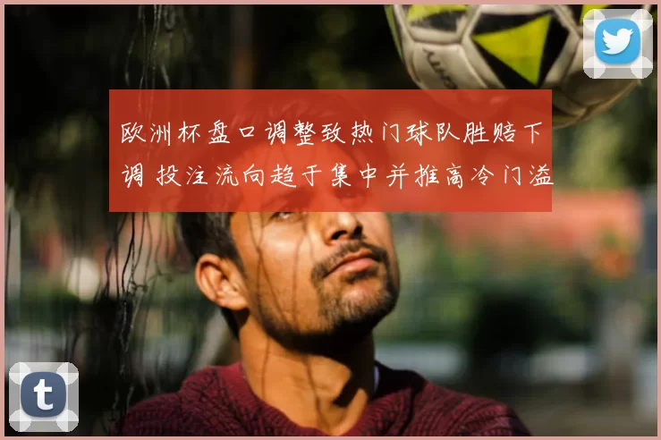 欧洲杯盘口调整致热门球队胜赔下调 投注流向趋于集中并推高冷门溢价
