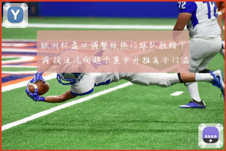 欧洲杯盘口调整致热门球队胜赔下调 投注流向趋于集中并推高冷门溢价