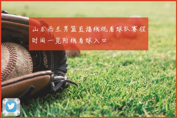 山东西王男篮直播线观看球队赛程时间一览附线看球入口